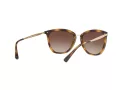 Ralph Sonnenbrille RA 5245 500313