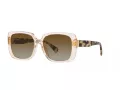 Ralph Sonnenbrille RA 5298U 6072T5