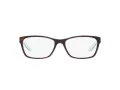 Ralph Brillen RA 7039 601