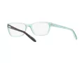 Ralph Brillen RA 7039 601