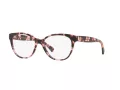 Ralph Brillen RA 7103 1693