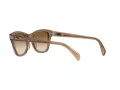 Ray-Ban Sonnenbrille RB 0707S 6640/51