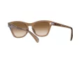 Ray-Ban Sonnenbrille RB 0707S 6640/51