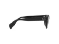 Ray-Ban Sonnenbrille RB 0880S 901/31