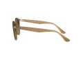 Ray-Ban Sonnenbrille RB 2180 6166/13