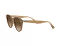 Ray-Ban Sonnenbrille RB 2180 6166/13