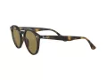 Ray-Ban Sonnenbrille RB 2180 710/73