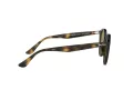 Ray-Ban Sonnenbrille RB 2180 710/73