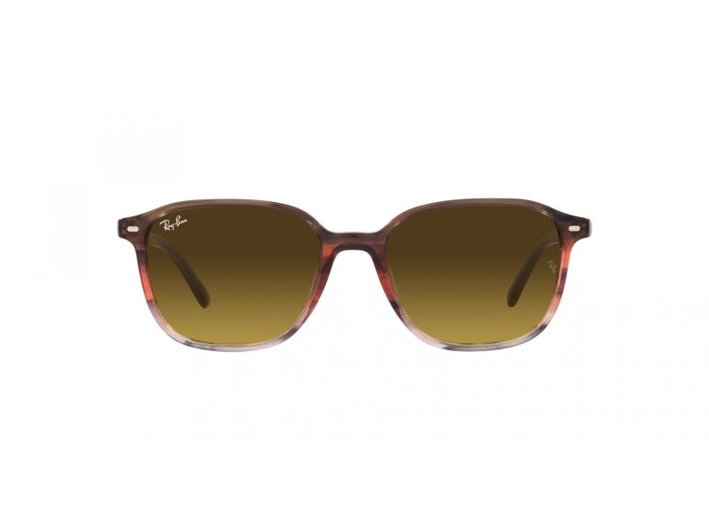 Ray-Ban Leonard Sonnenbrille RB 2193 138085