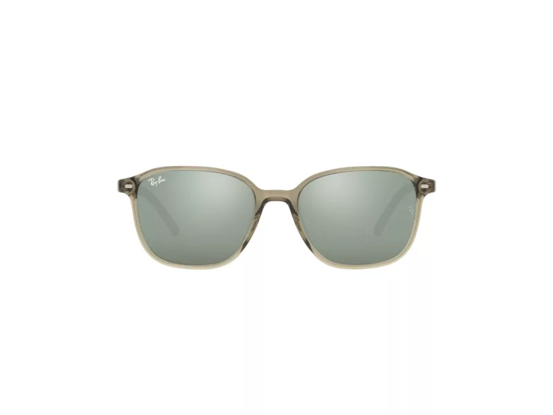 Ray-Ban Leonard Sonnenbrille RB 2193 6635/5C