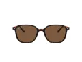 Ray-Ban Leonard Sonnenbrille RB 2193 902/57