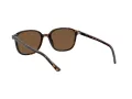 Ray-Ban Leonard Sonnenbrille RB 2193 902/57