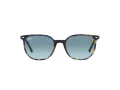 Ray-Ban Elliot Sonnenbrille RB 2197 13563M