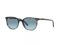 Ray-Ban Elliot Sonnenbrille RB 2197 13563M