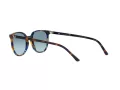 Ray-Ban Elliot Sonnenbrille RB 2197 13563M