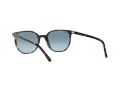 Ray-Ban Elliot Sonnenbrille RB 2197 13563M
