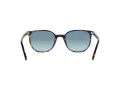 Ray-Ban Elliot Sonnenbrille RB 2197 13563M