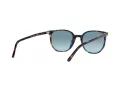 Ray-Ban Elliot Sonnenbrille RB 2197 13563M