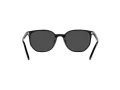 Ray-Ban Elliot Sonnenbrille RB 2197 901/48