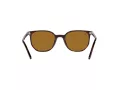 Ray-Ban Elliot Sonnenbrille RB 2197 902/33