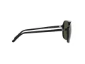 Ray-Ban Bill Sonnenbrille RB 2198 901/31