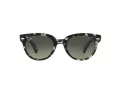 Ray-Ban Orion Sonnenbrille RB 2199 1333/71