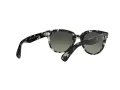 Ray-Ban Orion Sonnenbrille RB 2199 1333/71