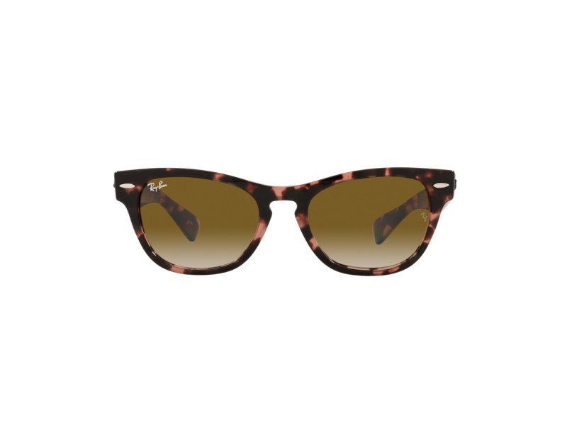 Ray-Ban Laramie Sonnenbrille RB 2201 1334/51