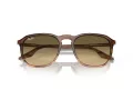 Ray-Ban Sonnenbrille RB 0RB2203 13920A