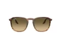 Ray-Ban Sonnenbrille RB 0RB2203 13920A