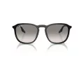 Ray-Ban Sonnenbrille RB 0RB2203 901/32