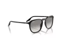 Ray-Ban Sonnenbrille RB 0RB2203 901/32