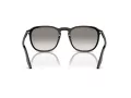 Ray-Ban Sonnenbrille RB 0RB2203 901/32