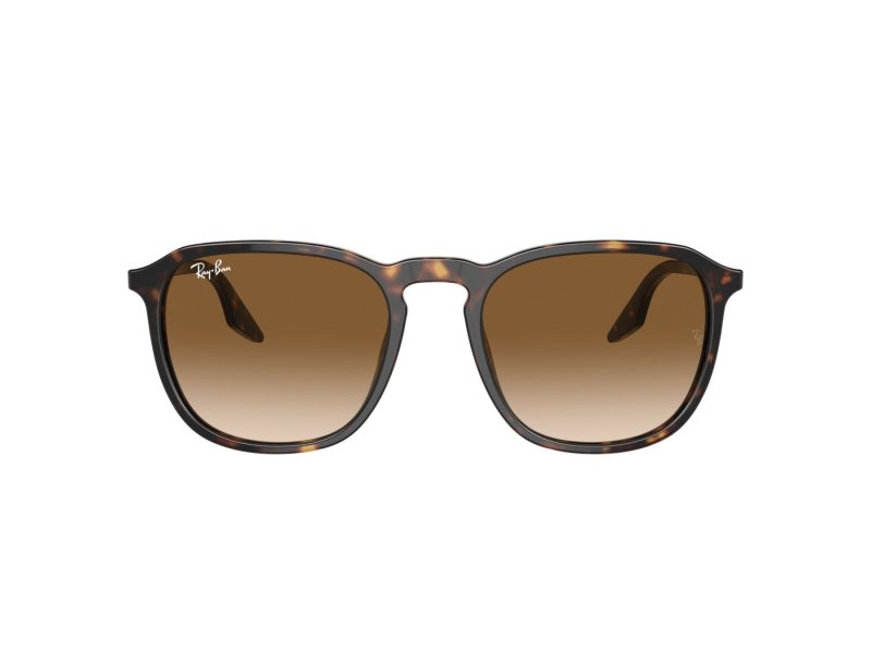 Ray-Ban Sonnenbrille RB 0RB2203 902/51