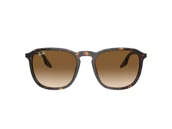 Ray-Ban Sonnenbrille RB 0RB2203 902/51