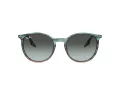 Ray-Ban Sonnenbrille RB 2204 1394GK