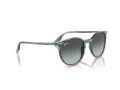Ray-Ban Sonnenbrille RB 2204 1394GK