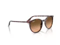 Ray-Ban Sonnenbrille RB 2204 14293B