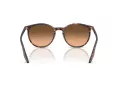 Ray-Ban Sonnenbrille RB 2204 14293B