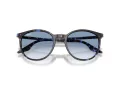 Ray-Ban Sonnenbrille RB 2204 14303F