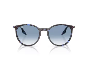 Ray-Ban Sonnenbrille RB 2204 14303F