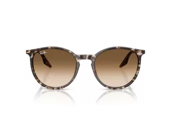 Ray-Ban Sonnenbrille RB 2204 143151