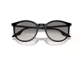 Ray-Ban Sonnenbrille RB 0RB2204 901/32