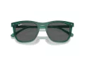 Ray-Ban Sonnenbrille RB 2210 6615B1