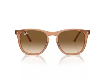 Ray-Ban Sonnenbrille RB 2210 676451