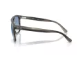 Ray-Ban Sonnenbrille RB 2213 14243F