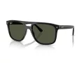 Ray-Ban Sonnenbrille RB 2213 901/31