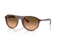 Ray-Ban Sonnenbrille RB 2215 14293B