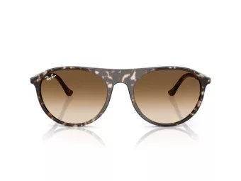 Ray-Ban Sonnenbrille RB 2215 143151