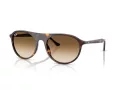 Ray-Ban Sonnenbrille RB 2215 902/51